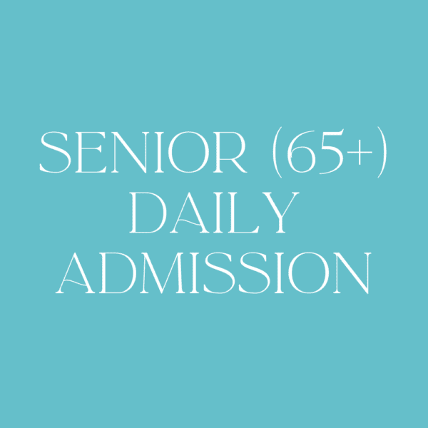 Senior (65+)